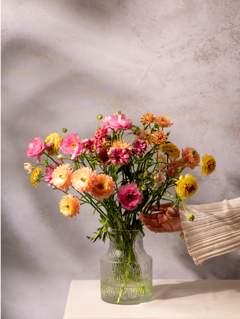 Natura Moderna Ranúnculos