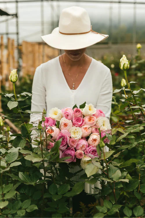Person holding a bouquet of pink and white garden roses in a greenhouse setting.
#color_garden #detail