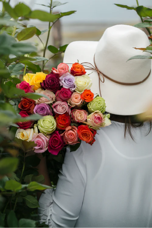 Person wearing a white hat and holding a colorful bouquet of roses outdoors.
#color_standard #detail