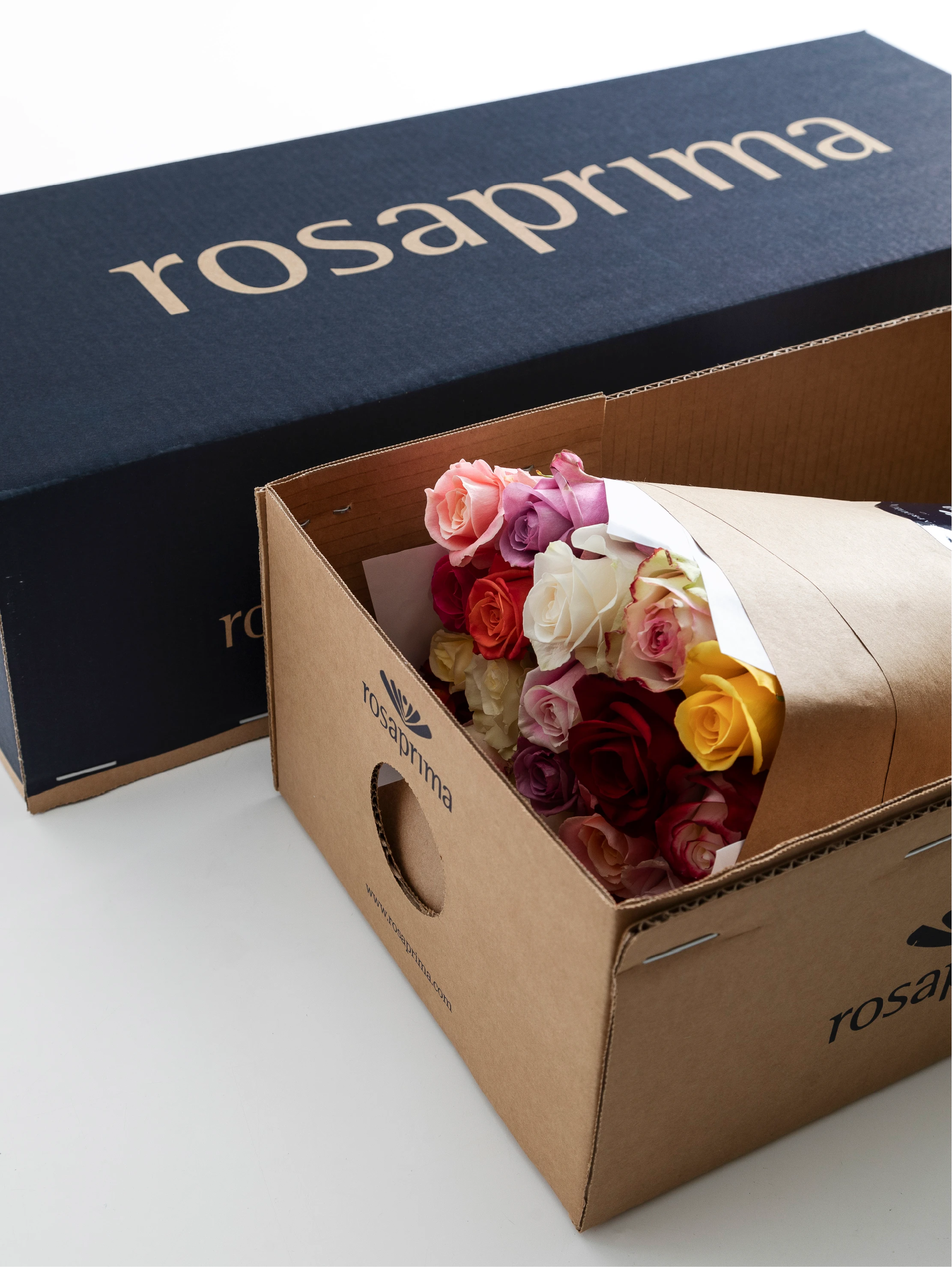Bouquet of rosaprima roses in a Rosaprima box on a white background.