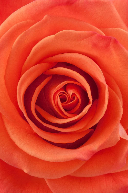 #color_orange #detail