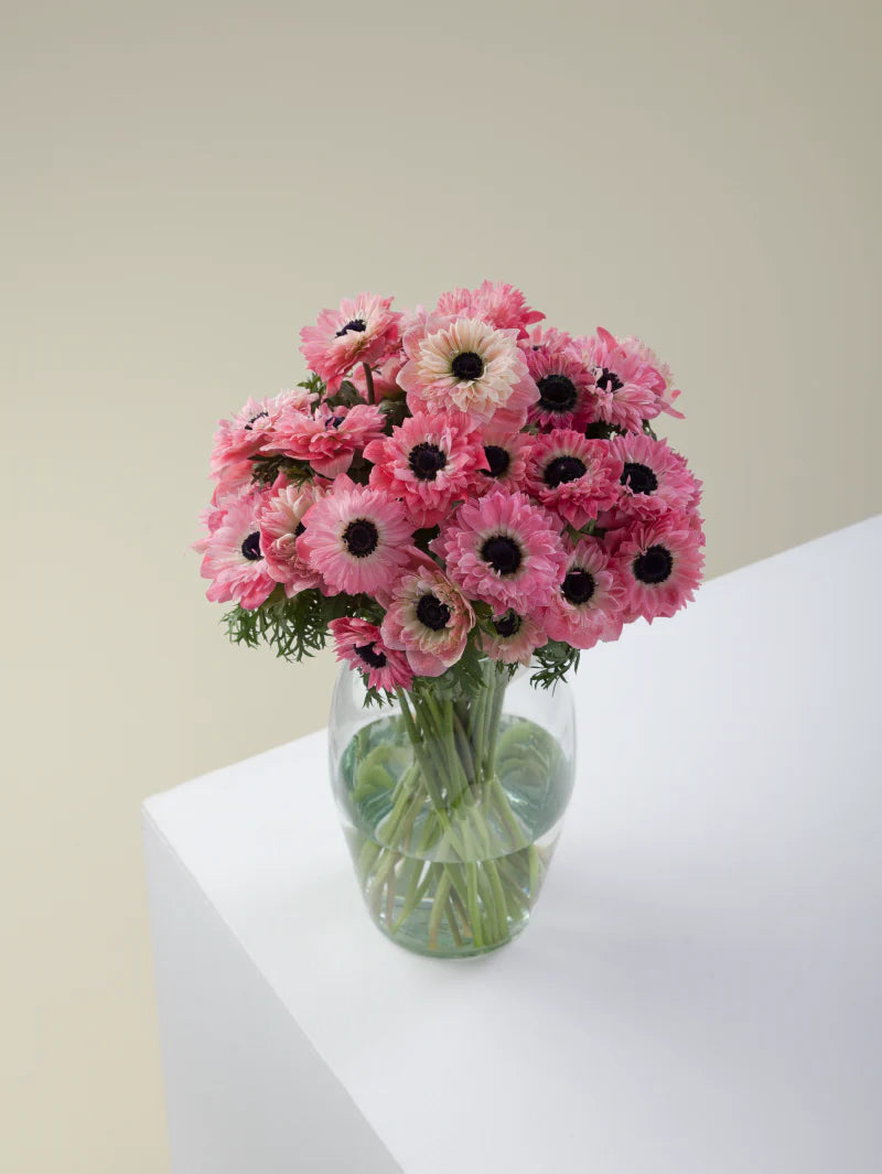 Bouquet of pink levante anemones arranged in a glass vase on a light background.
#color_rosa