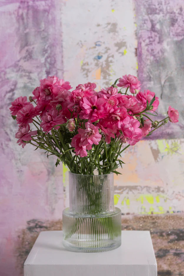 #color_dolce #detail