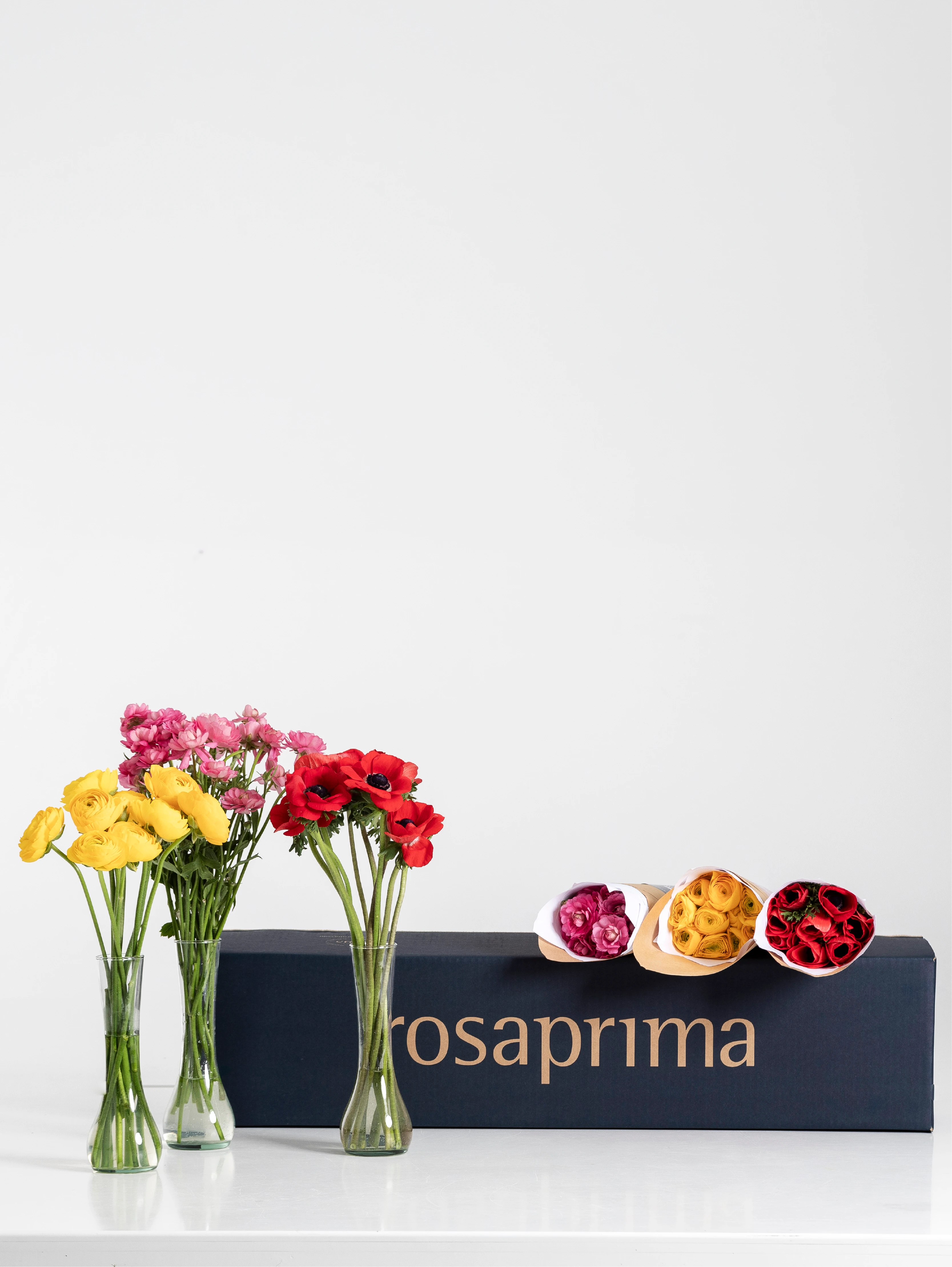 Three vases with flowers (yellow ranunculus, pink natura moderna ranunculus, and red mistral anemones) and a Rosaprima product box display on a white background.