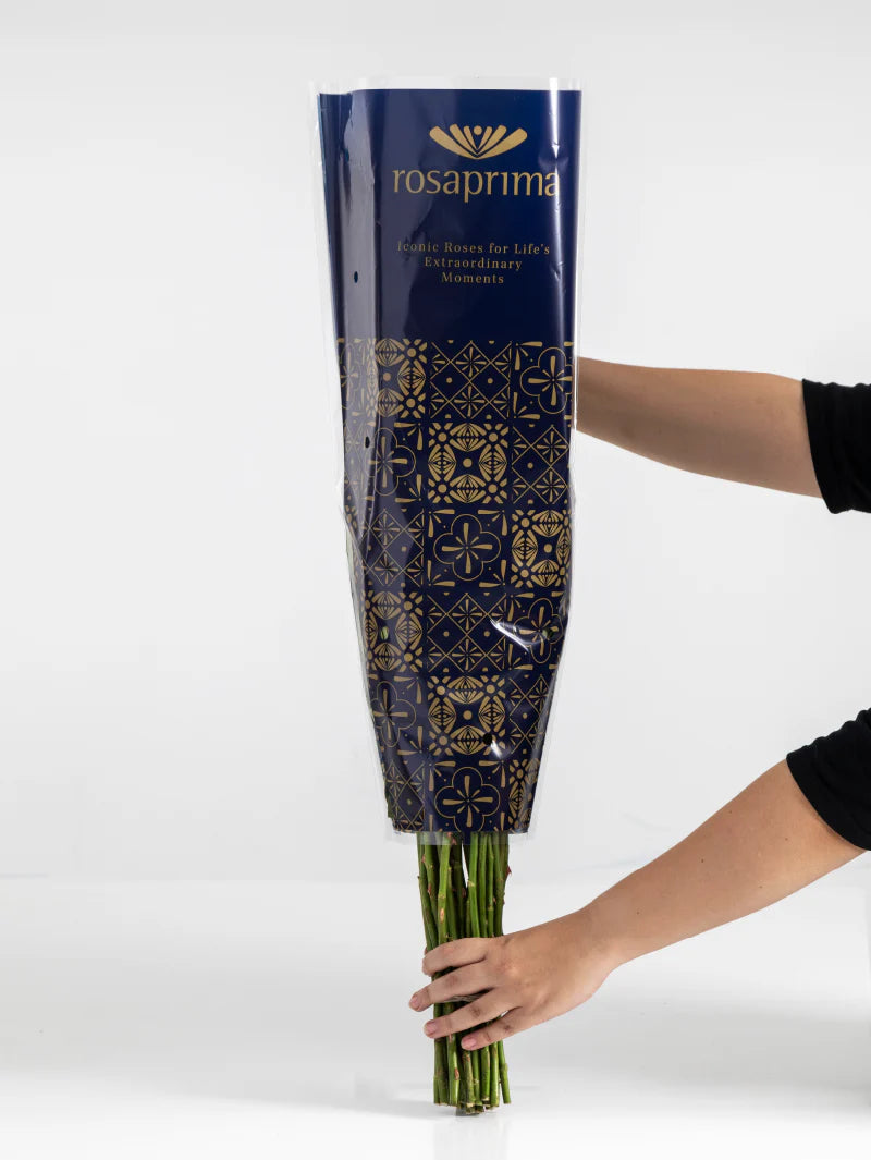 Bouquet of roses wrapped in Rosaprima packaging on a white background.
