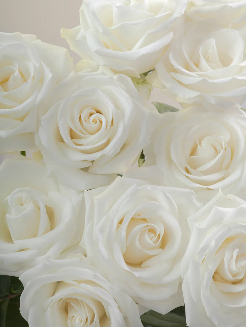 #color_white
