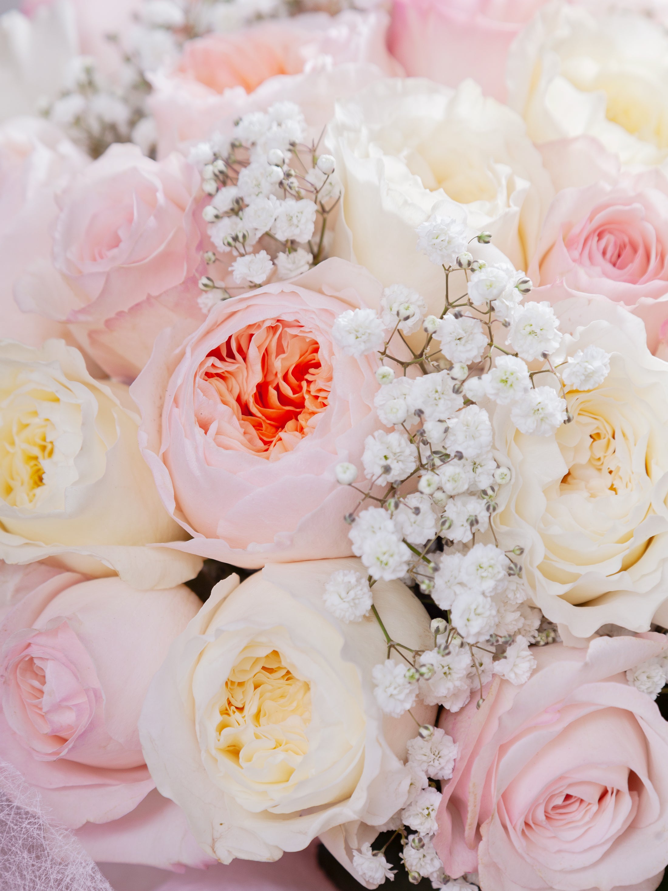 Bouquet of garden roses.