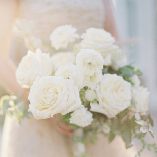 Rosas blancas novia matrimonio Rosaprima