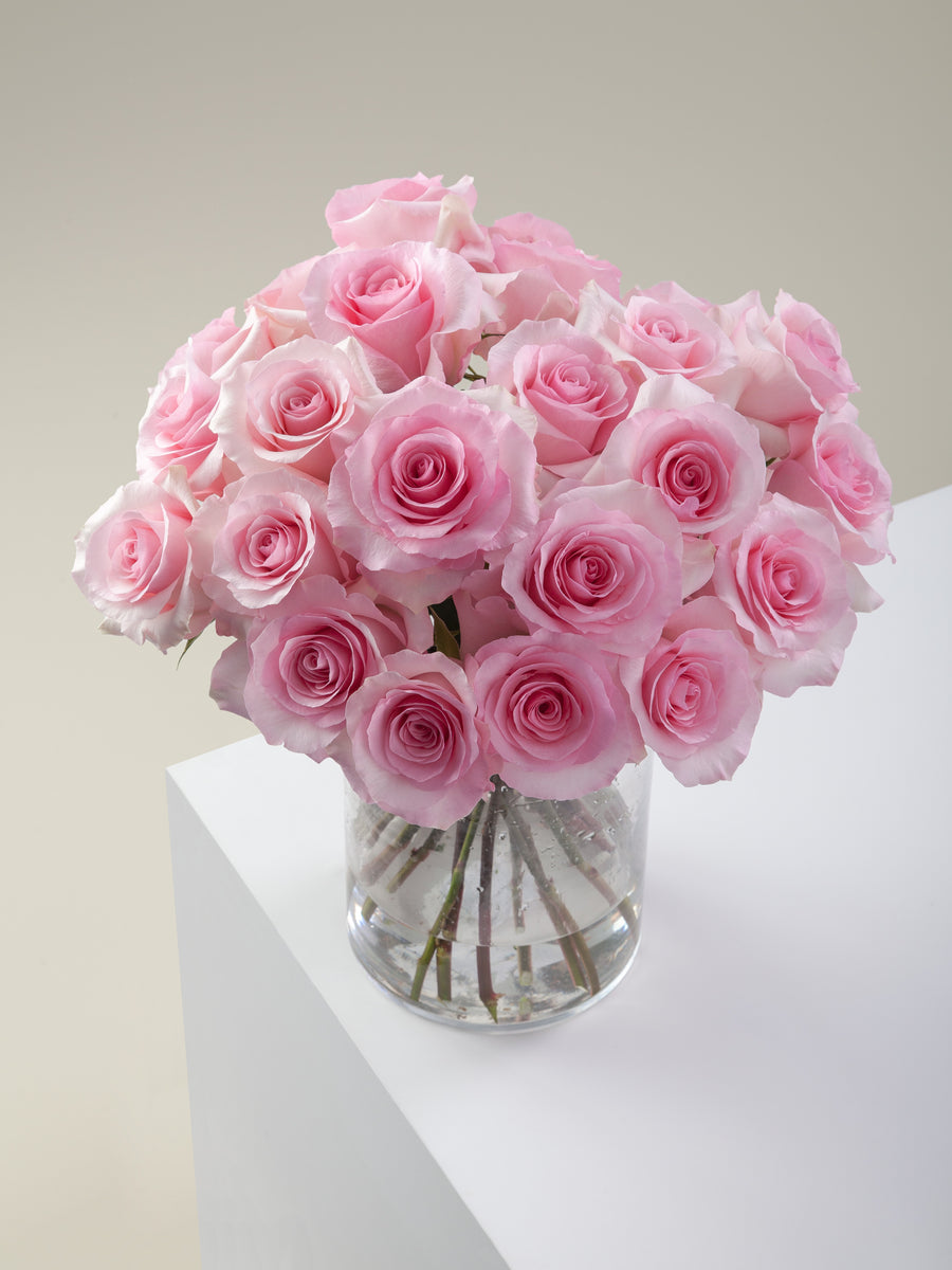Pink Box