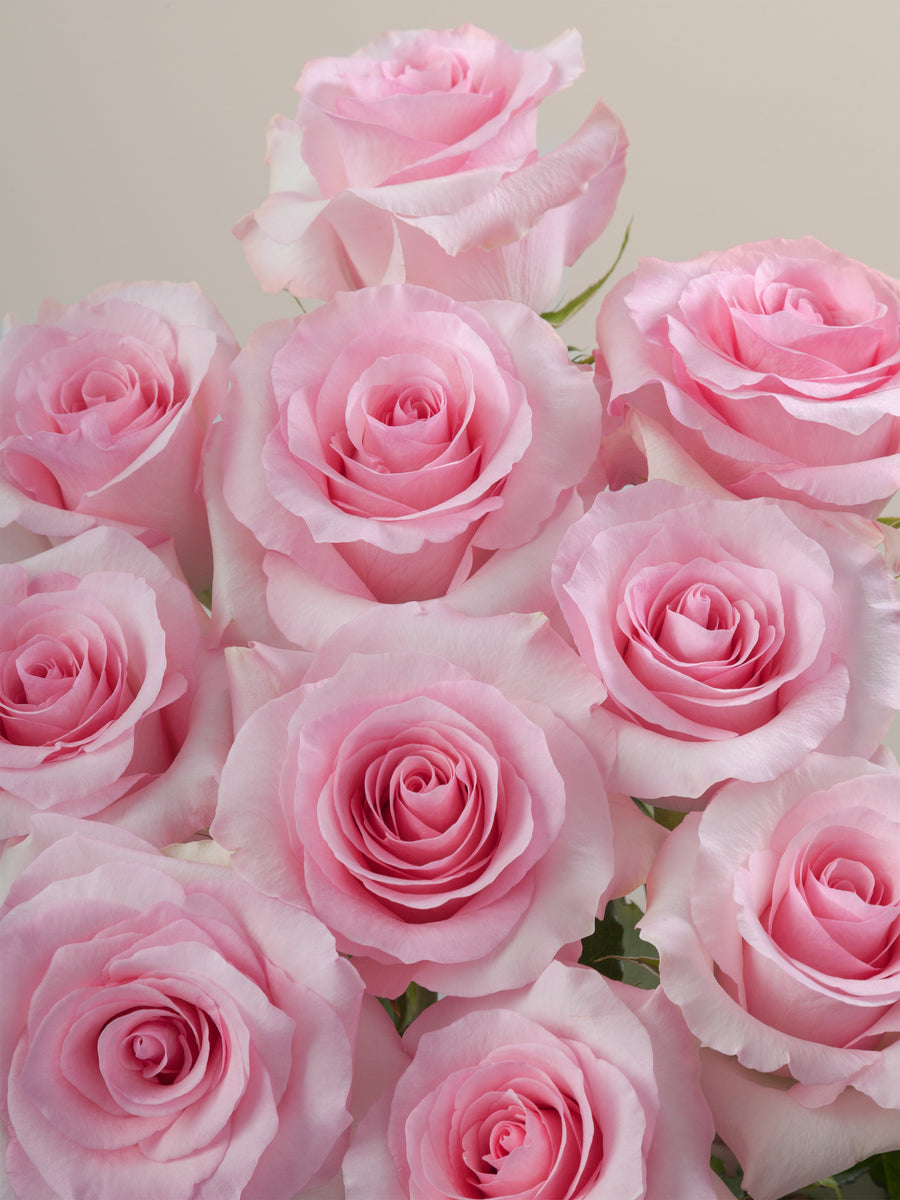 Pink Box