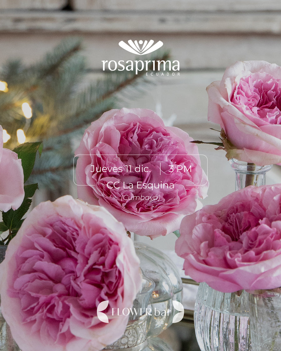 Workshop de Coronas Navideñas