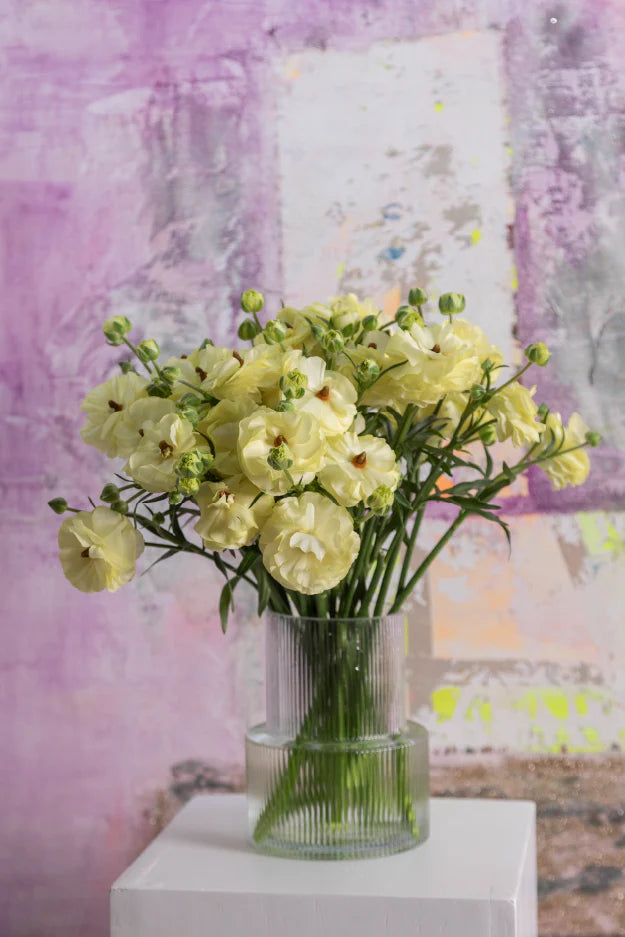 #color_limoncello #detail