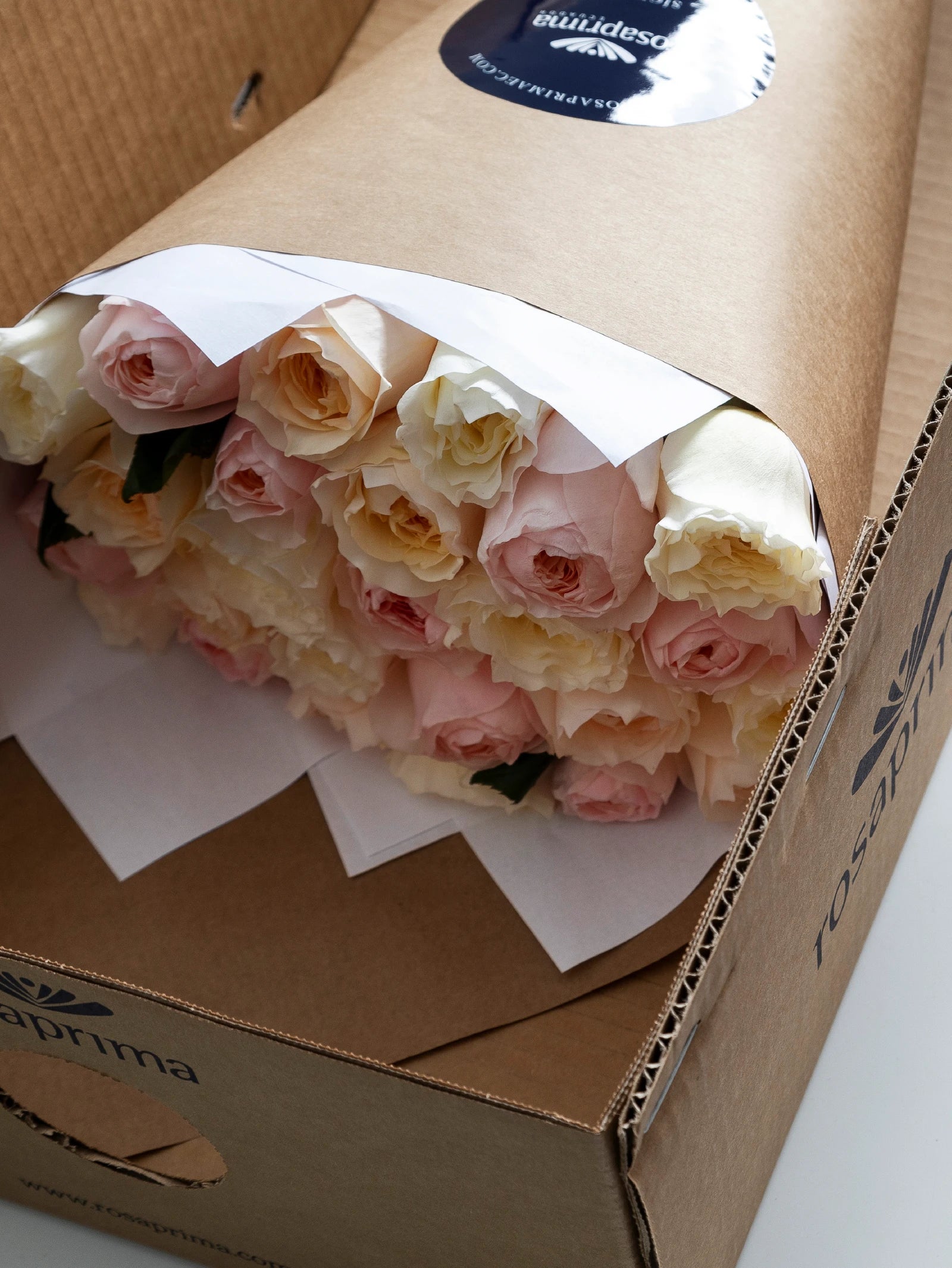 Close up of a bouquet of garden roses in a brown paper inside a Rosaprima box.