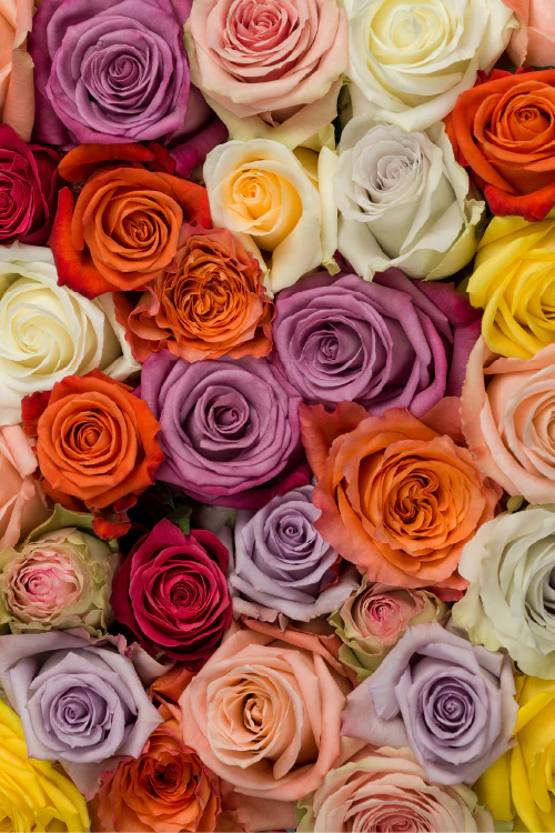 #color_standard #detail