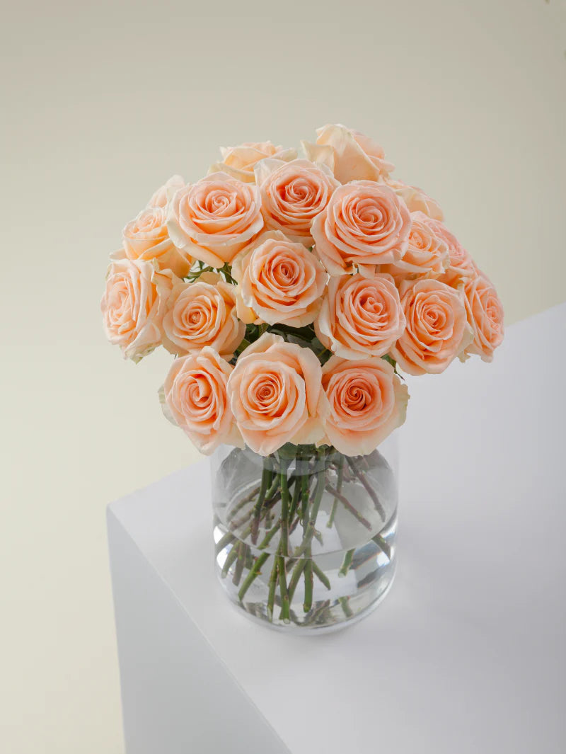 Bouquet of peach roses arranged in a glass vase on a light background.

#color_peach
