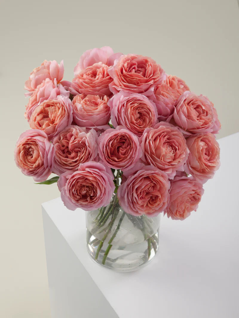 #color_romantic antike