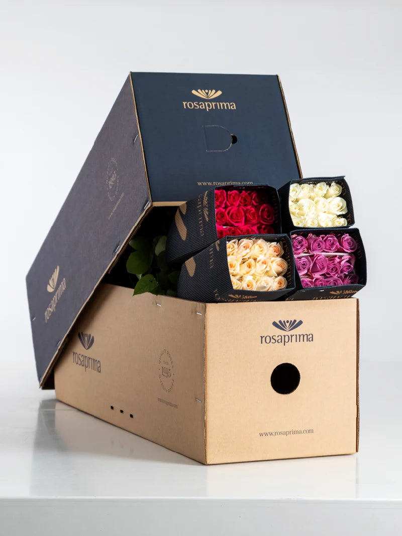 Open box of rosasprima roses with blue packaging featuring four bunches of flowers.
