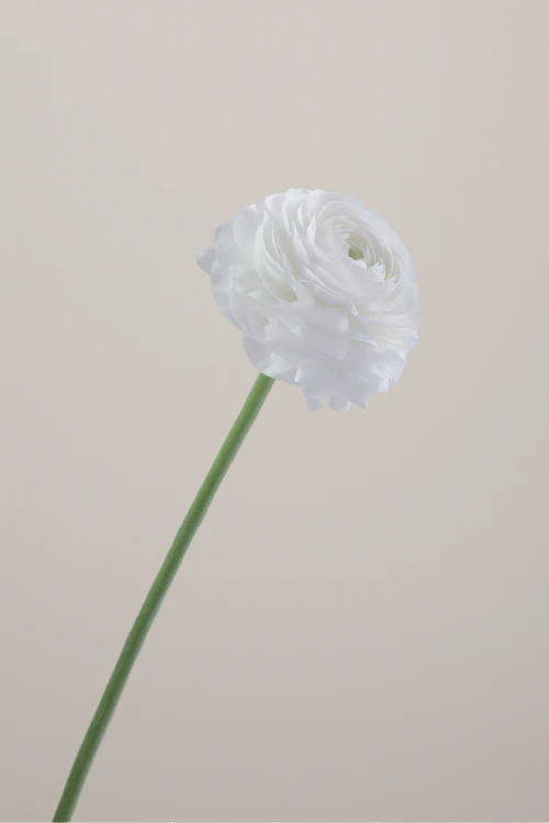 #color_bianco #detail