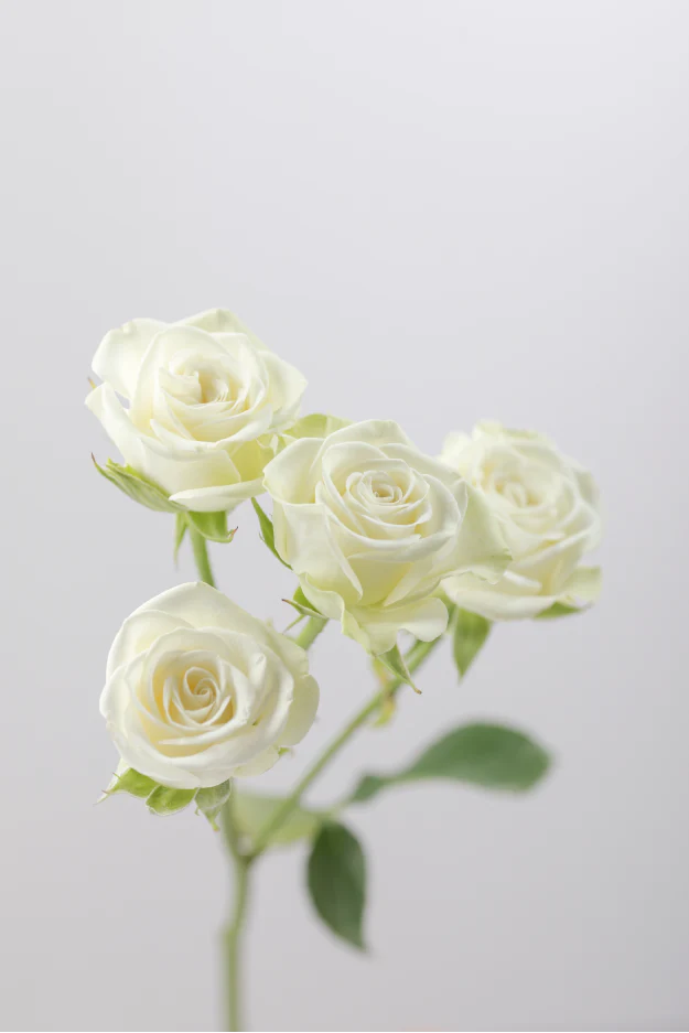 #color_white #detail