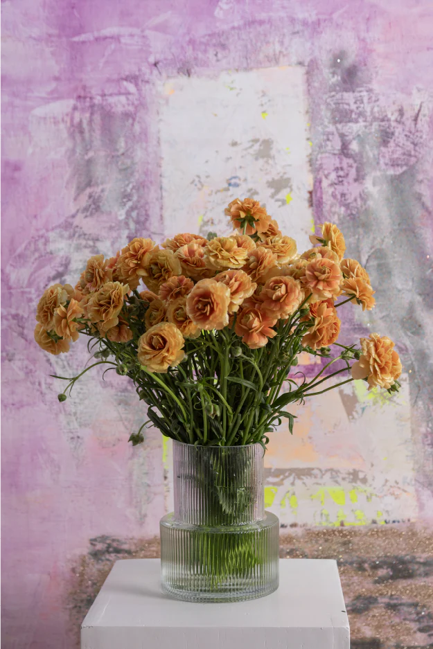 #color_miele #detail